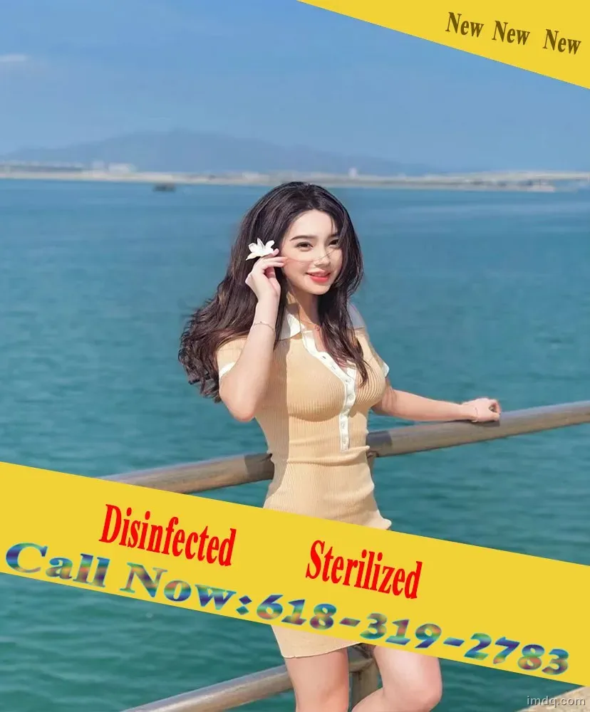 c254e5fd65a0dcb275e0617c5b8167e2_421d76bc09fb6b7c6767e63ca5adbc20.webp